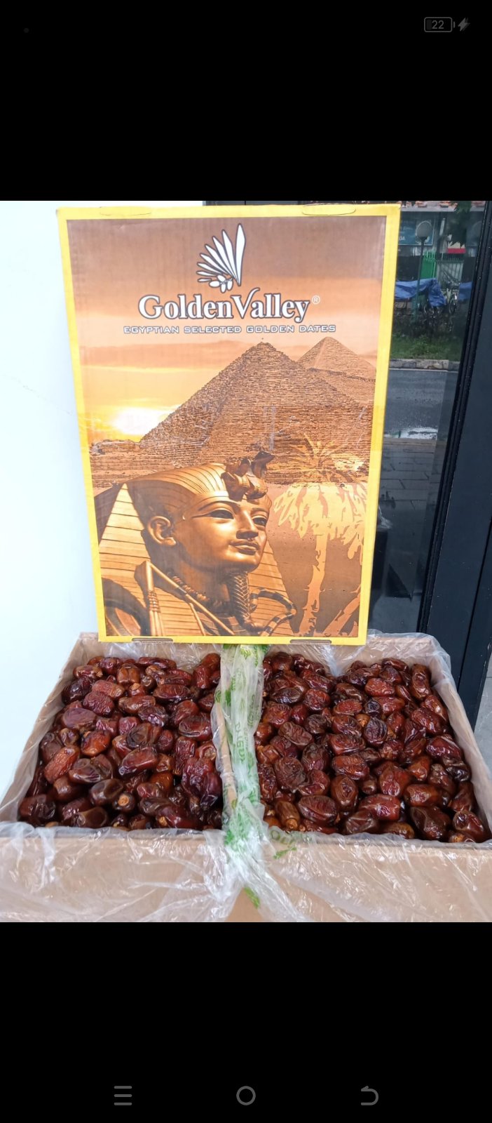 Kurma Mesir Golden Valley gross 10 kg
