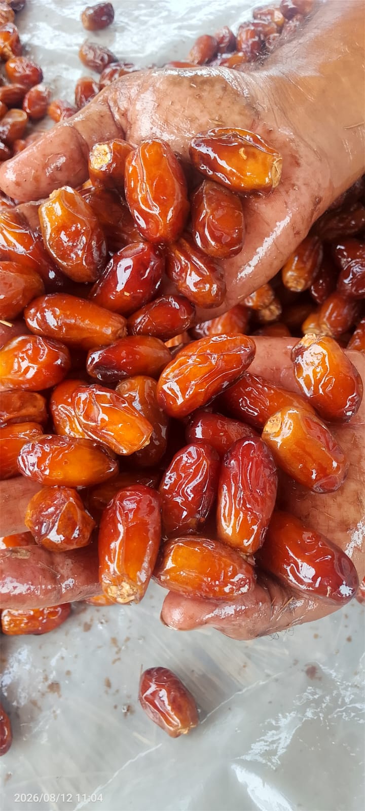 Kurma Tunis Madu 5kg