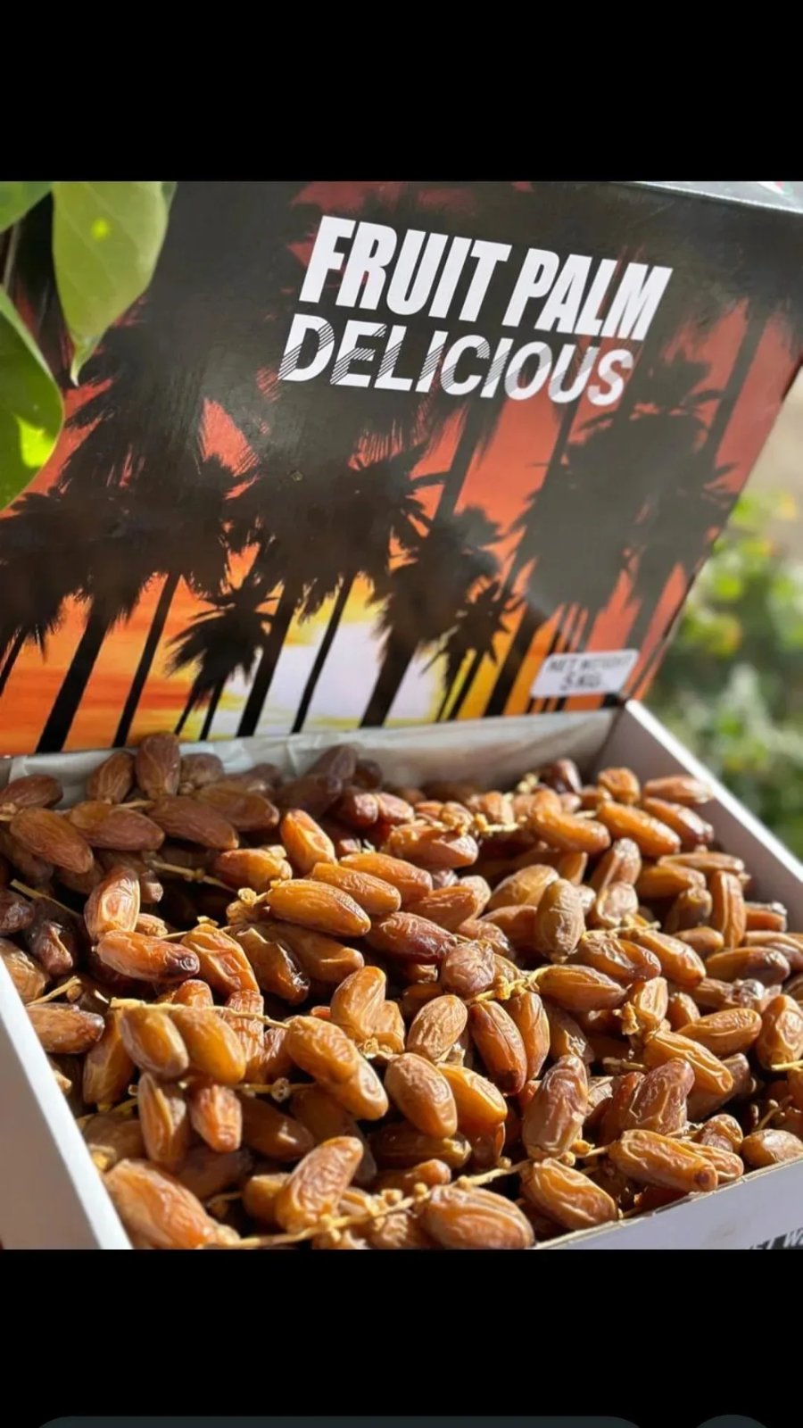 Kurma Tunis Tangkai Dus 5kg